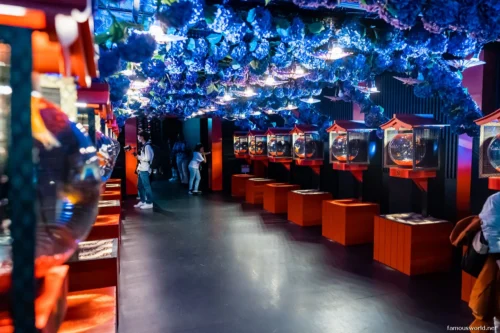 Art Aquarium Museum Ginza Photos 13