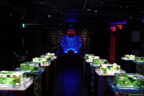 Art Aquarium Museum Ginza Photos 17
