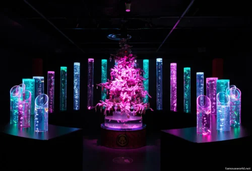 Art Aquarium Museum Ginza Photos 18