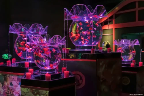 Art Aquarium Museum Ginza Photos 21