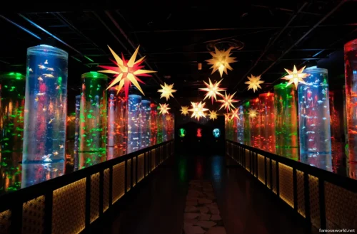 Art Aquarium Museum Ginza Photos 24