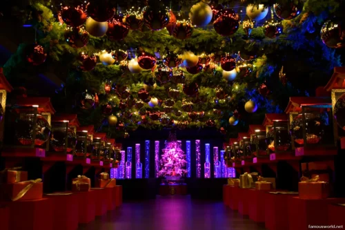 Art Aquarium Museum Ginza Photos 33