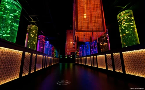 Art Aquarium Museum Ginza Photos 35