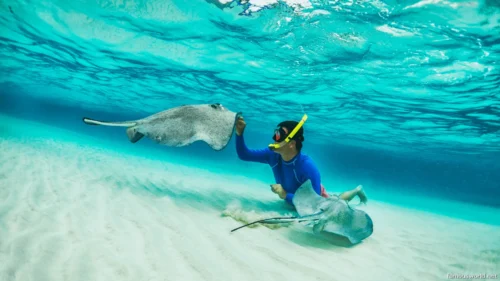 Cayman Islands Photos 06