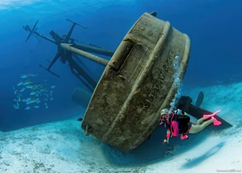 Cayman Islands Photos 38