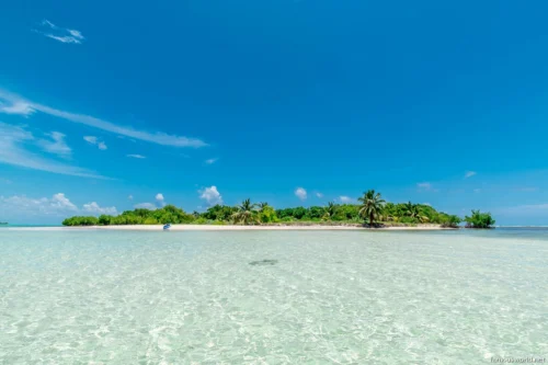 Cayman Islands Photos 40