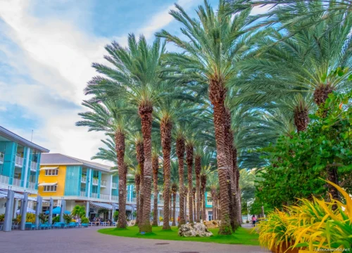 Cayman Islands Photos 52