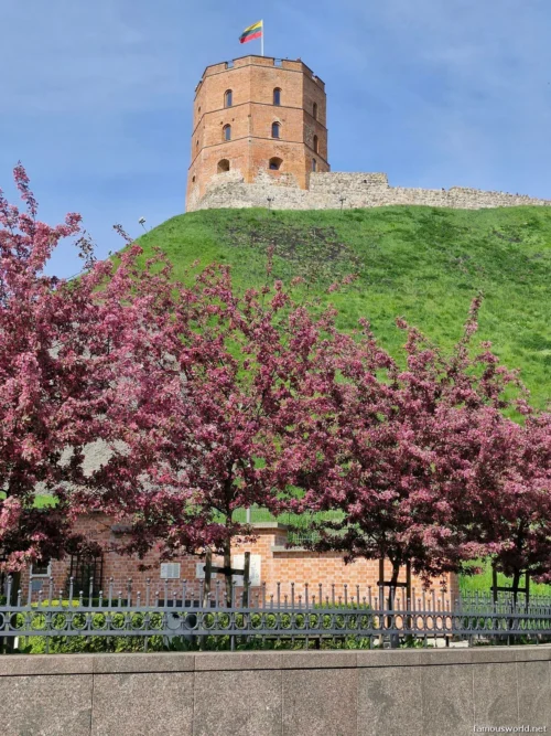 Gediminas Castle Tower Photos 26