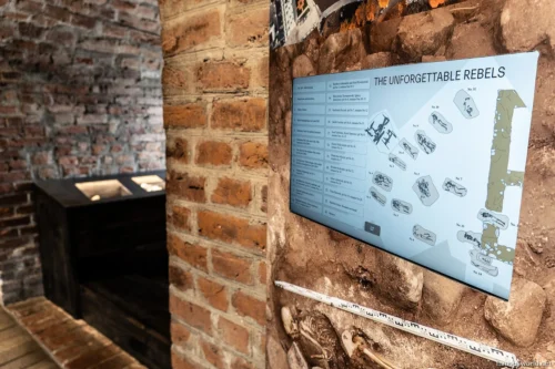 Gediminas Castle Tower Photos 46