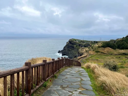 Jusangjeollidae Photos 02