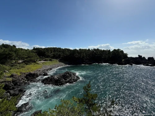 Jusangjeollidae Photos 10