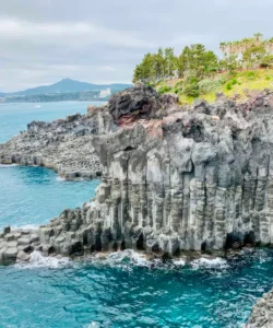 Jusangjeollidae Photos