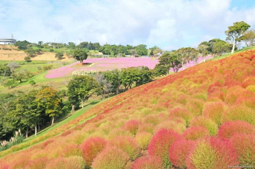 Mother Farm Photos 01