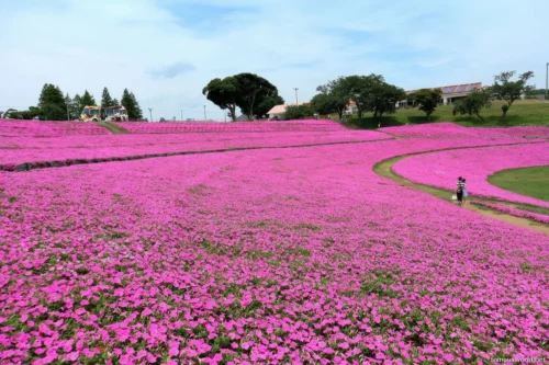 Mother Farm Photos 03