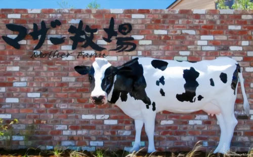 Mother Farm Photos 04