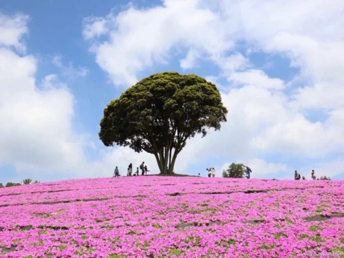 Mother Farm Photos 05