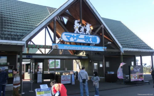 Mother Farm Photos 06