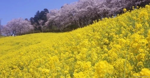 Mother Farm Photos 08