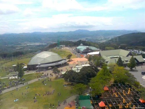 Mother Farm Photos 11