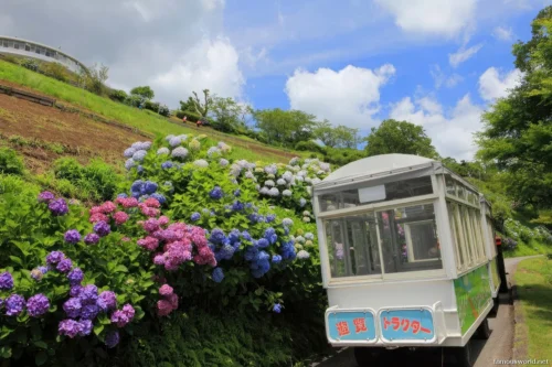 Mother Farm Photos 12