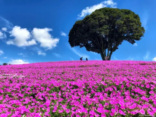 Mother Farm Photos 13