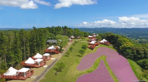 Mother Farm Photos 15