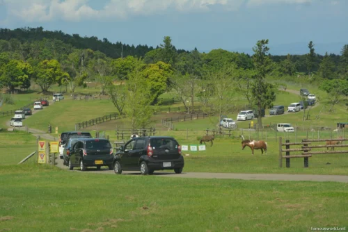 Mother Farm Photos 16