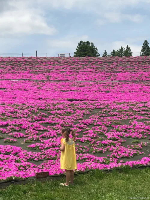 Mother Farm Photos 18