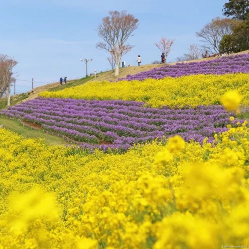 Mother Farm Photos 19