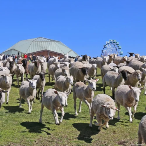 Mother Farm Photos 20