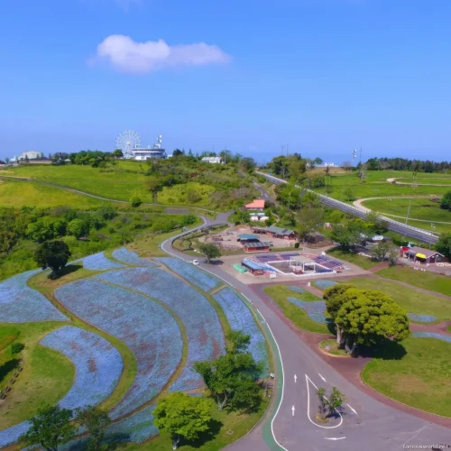 Mother Farm Photos 21