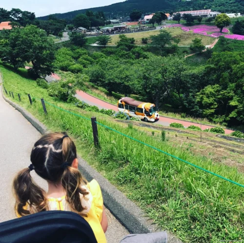 Mother Farm Photos 22