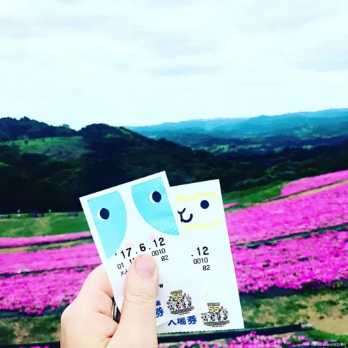 Mother Farm Photos 23