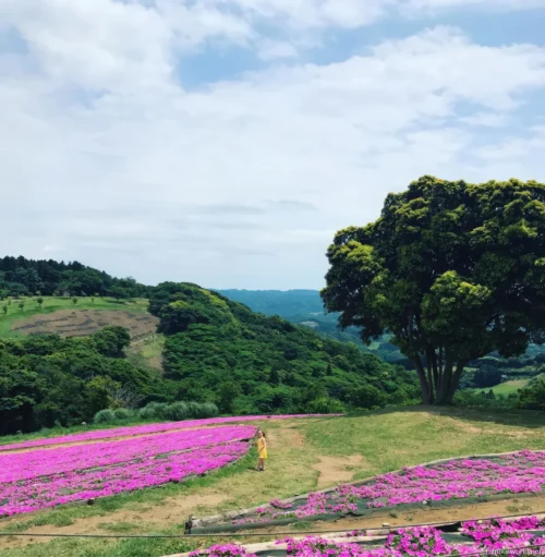 Mother Farm Photos 24