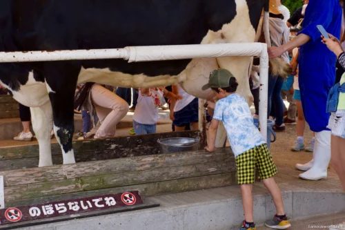 Mother Farm Photos 27