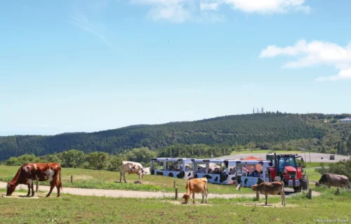 Mother Farm Photos 28