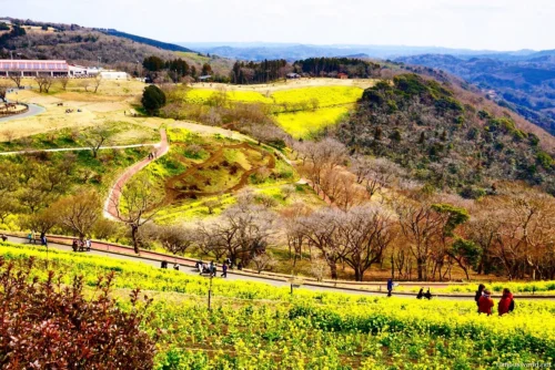 Mother Farm Photos 31