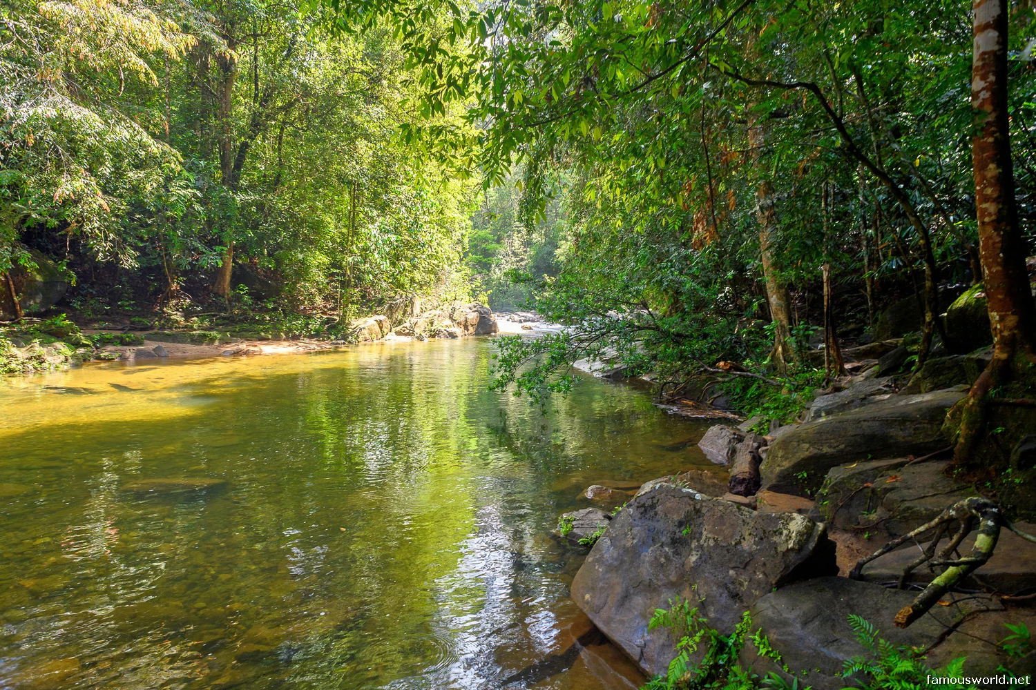 Sinharaja Forest Reserve
