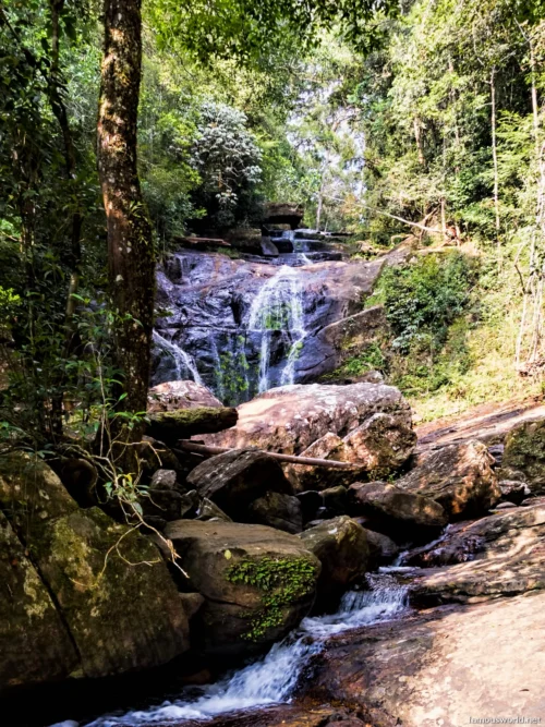 Sinharaja Forest Reserve Photos 06