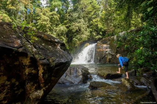 Sinharaja Forest Reserve Photos 07