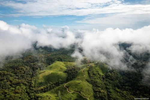 Sinharaja Forest Reserve Photos 15