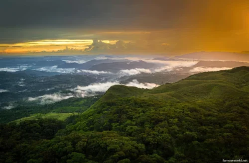 Sinharaja Forest Reserve Photos 17