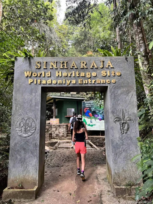 Sinharaja Forest Reserve Photos 18