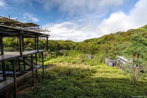 Sinharaja Forest Reserve Photos 19