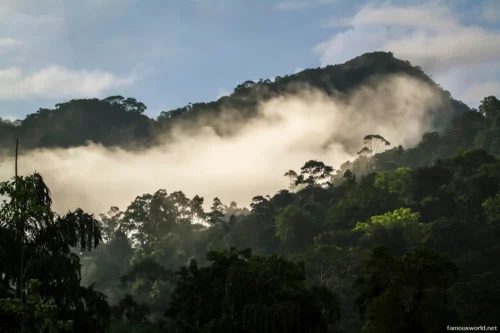 Sinharaja Forest Reserve Photos 30