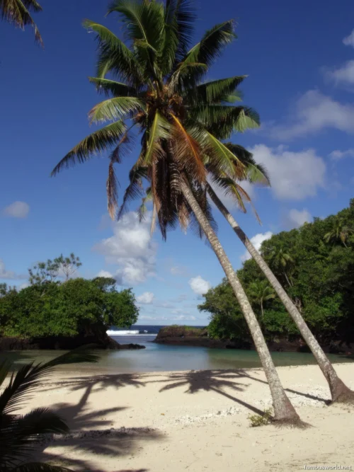 Vavau Beach Photos 14