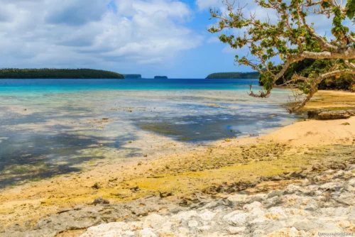 Vavau Beach Photos 24